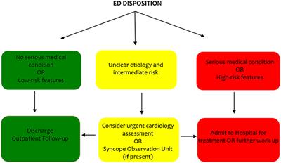 Frontiers | Syncope In The Emergency Department